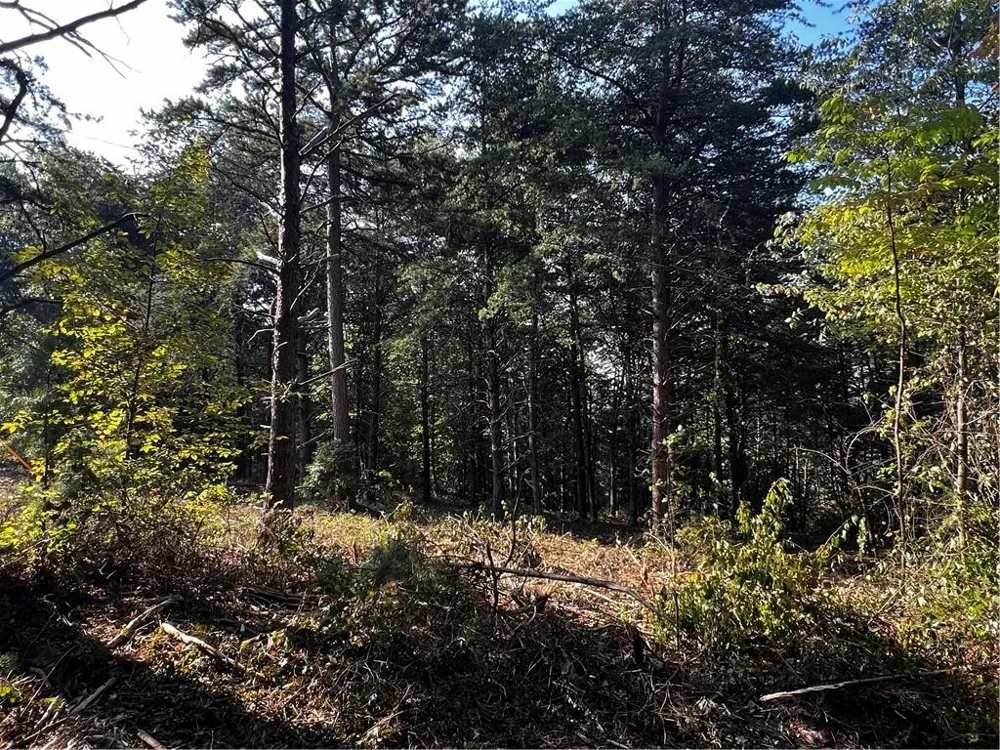 330 Wild Azalea Trail Waleska, GA 30183