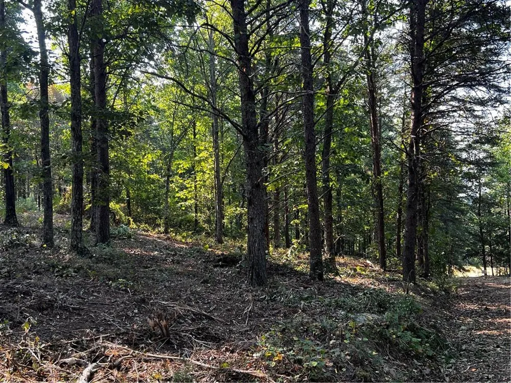 330 Wild Azalea Trail Waleska, GA 30183