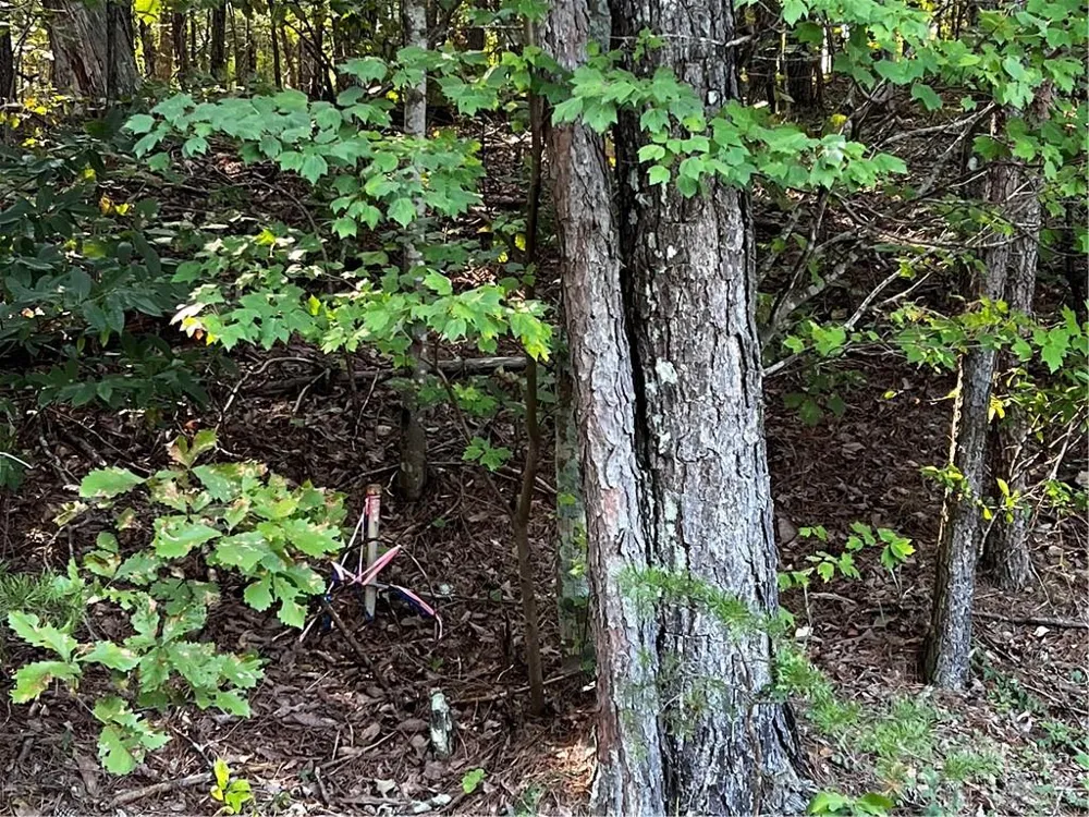 330 Wild Azalea Trail Waleska, GA 30183