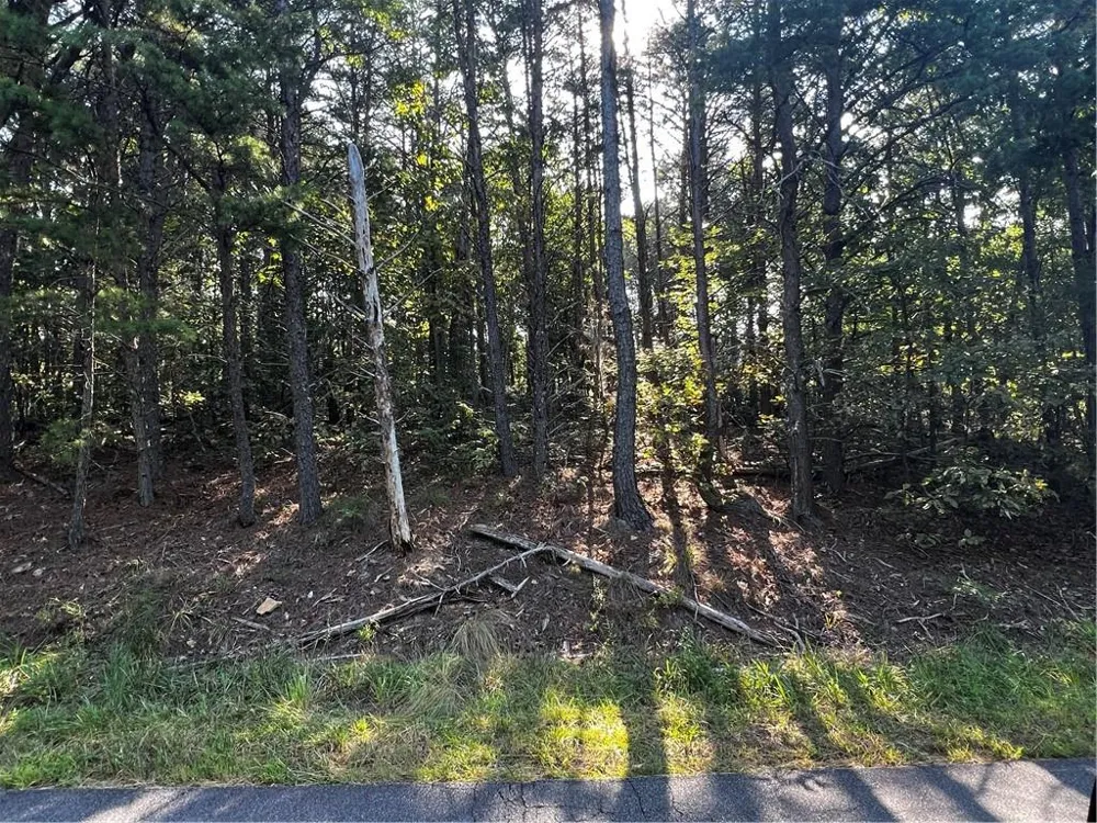 330 Wild Azalea Trail Waleska, GA 30183