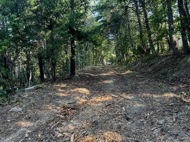 330 Wild Azalea Trail Waleska, GA 30183