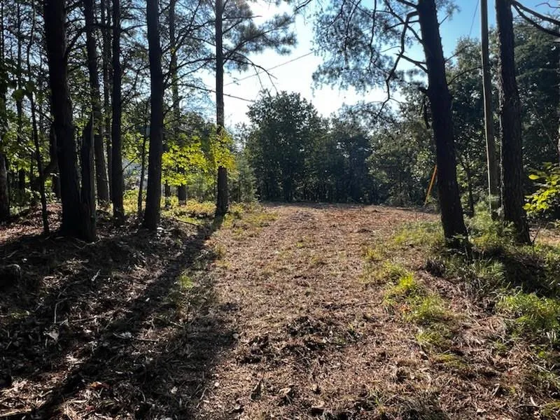 330 Wild Azalea Trail Waleska, GA 30183