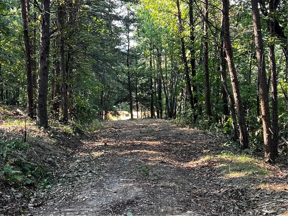 330 Wild Azalea Trail Waleska, GA 30183