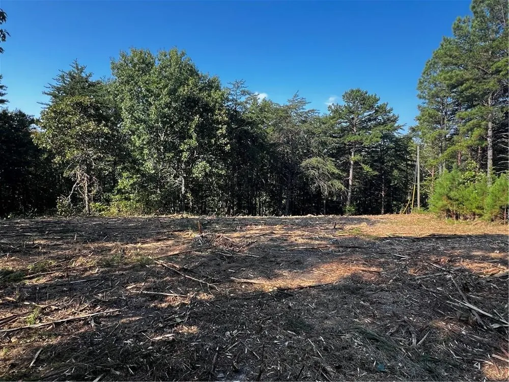 330 Wild Azalea Trail Waleska, GA 30183