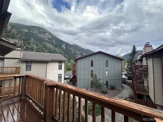 1890 Argentine Street #D303 Georgetown, CO 80444