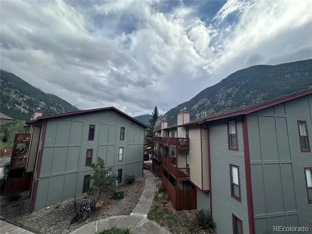 1890 Argentine Street #D303 Georgetown, CO 80444