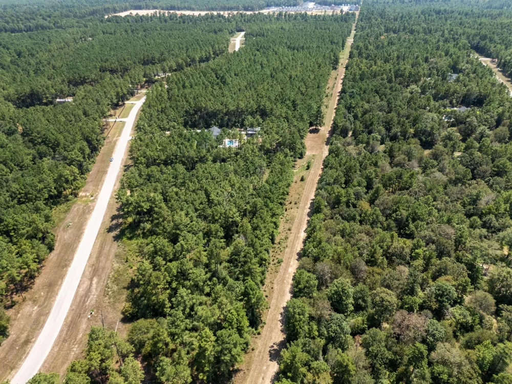 15735 Wooded Trail Way Willis, TX 77378