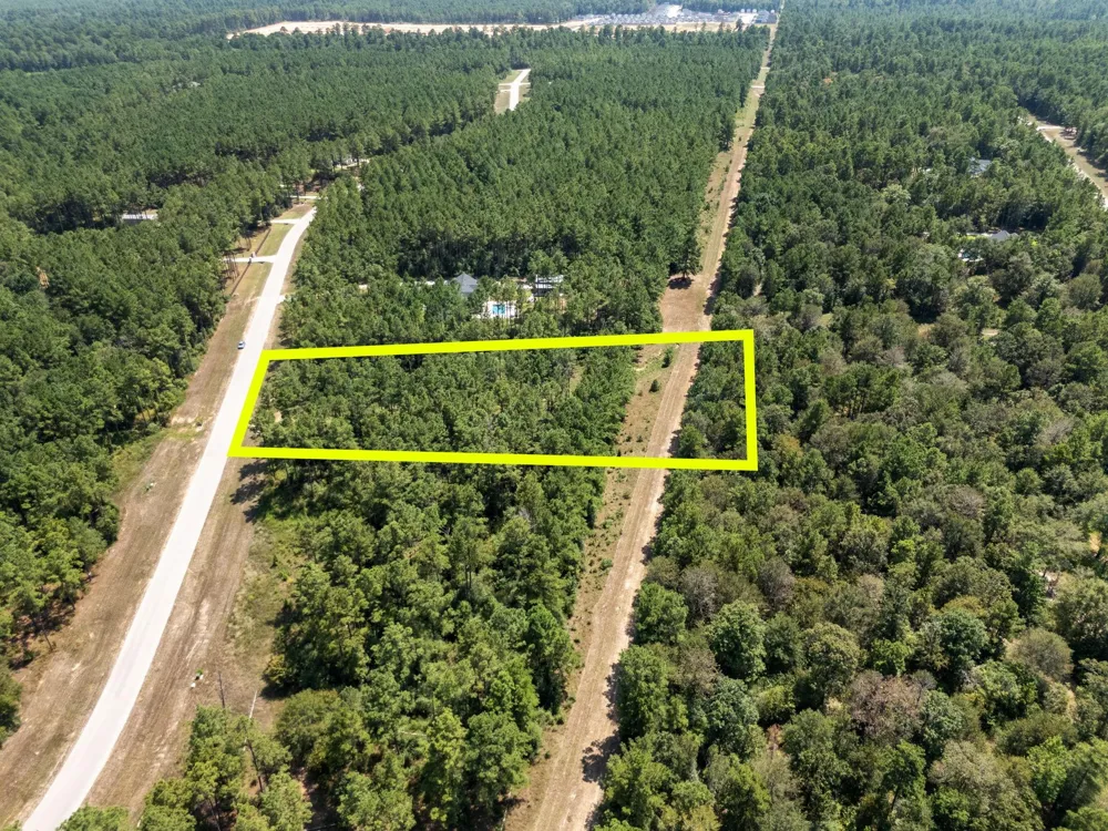 15735 Wooded Trail Way Willis, TX 77378