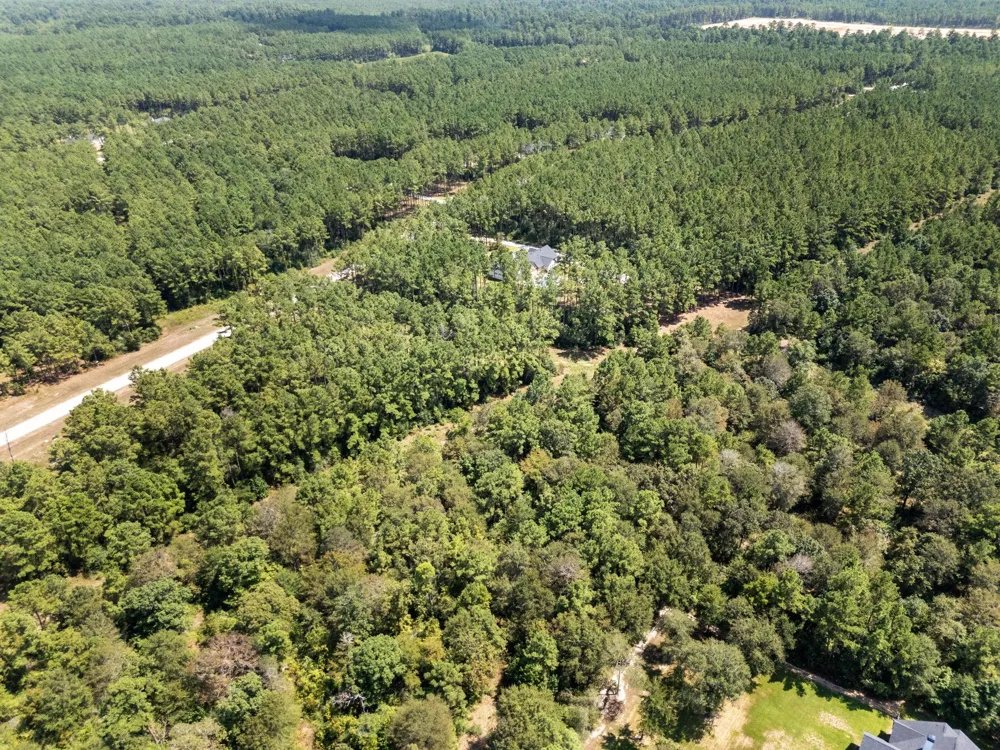 15735 Wooded Trail Way Willis, TX 77378