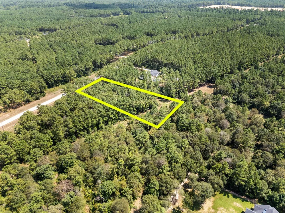 15735 Wooded Trail Way Willis, TX 77378