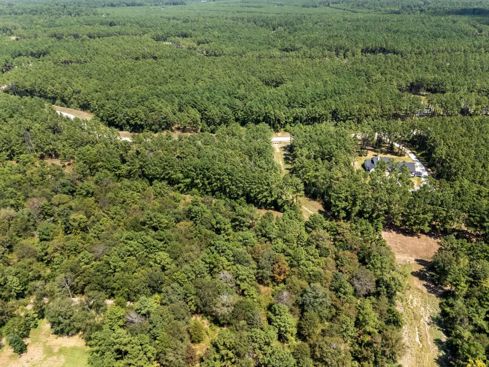 15735 Wooded Trail Way Willis, TX 77378