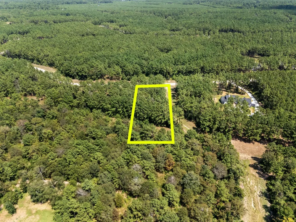 15735 Wooded Trail Way Willis, TX 77378