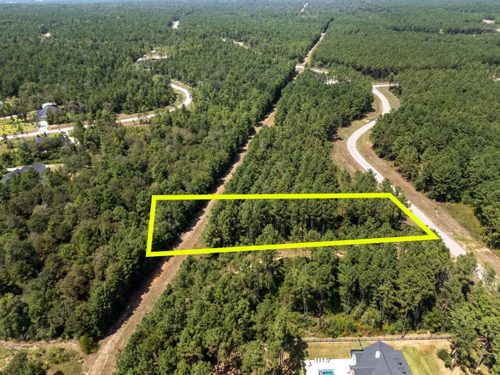 15735 Wooded Trail Way Willis, TX 77378
