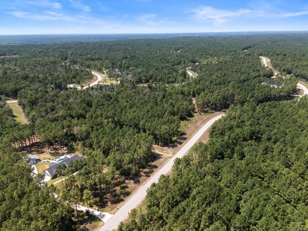 15735 Wooded Trail Way Willis, TX 77378