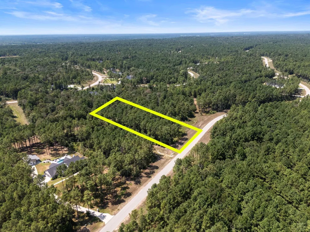 15735 Wooded Trail Way Willis, TX 77378