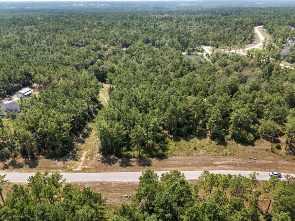 15735 Wooded Trail Way Willis, TX 77378