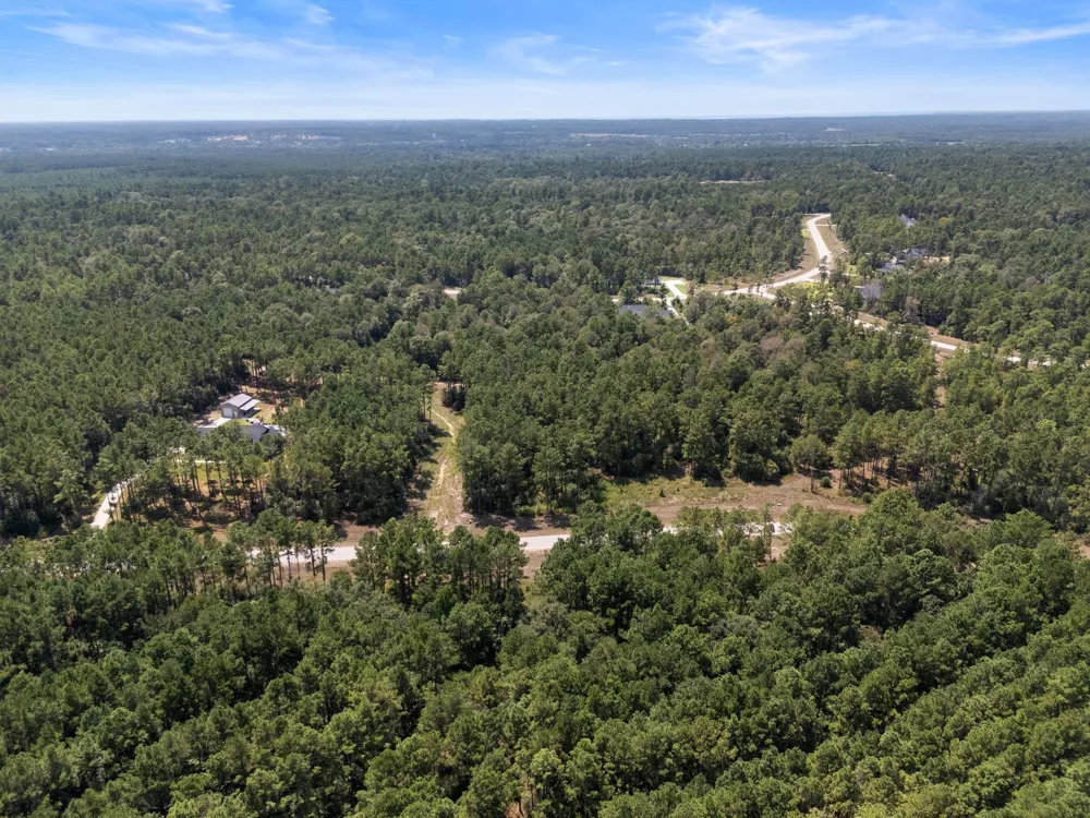 15735 Wooded Trail Way Willis, TX 77378