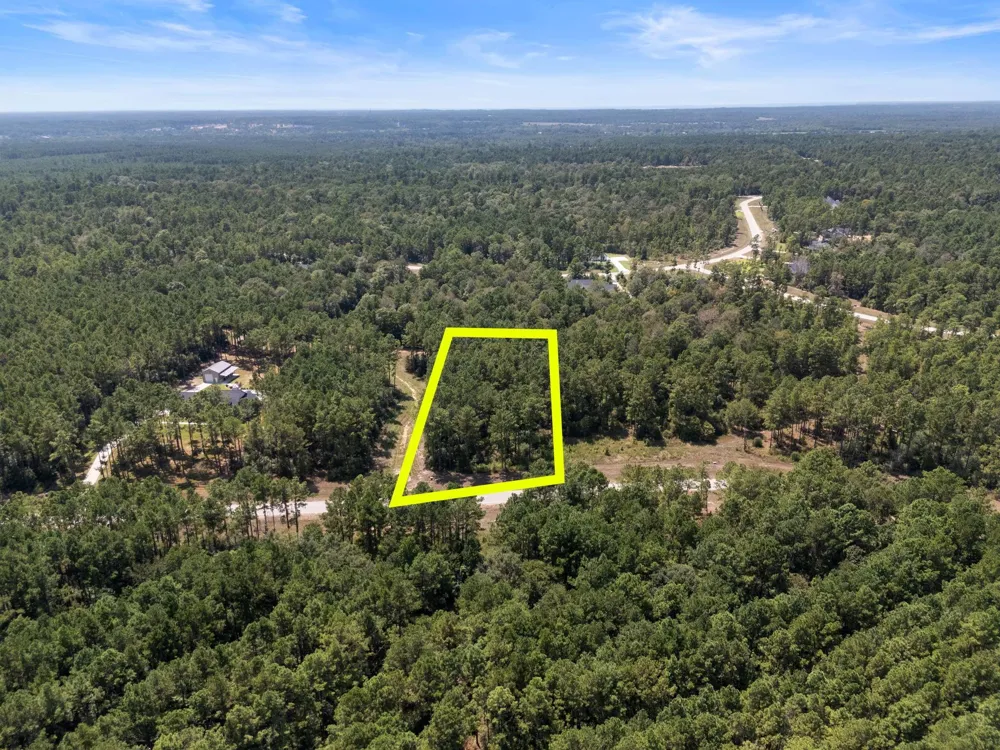 15735 Wooded Trail Way Willis, TX 77378