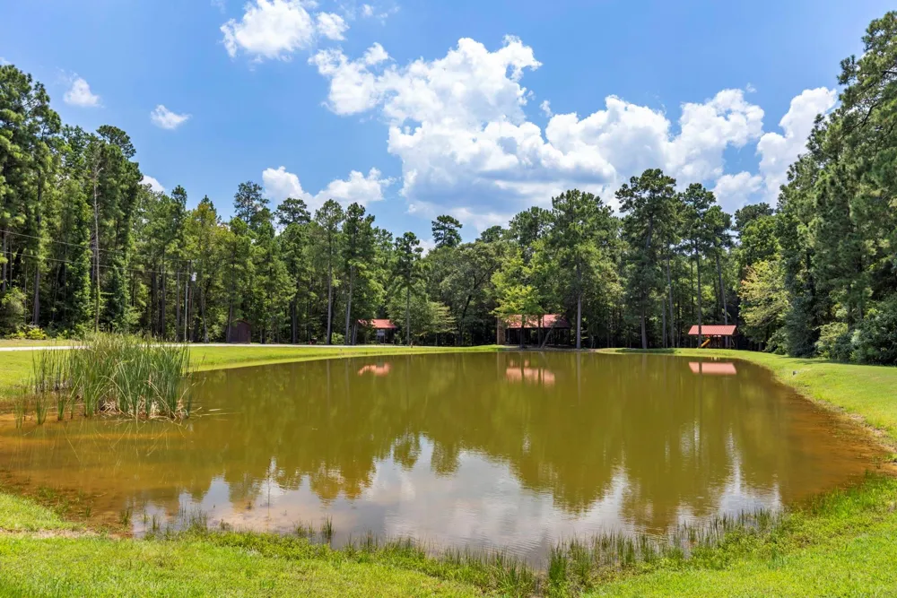 15735 Wooded Trail Way Willis, TX 77378