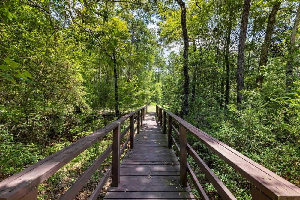 15735 Wooded Trail Way Willis, TX 77378