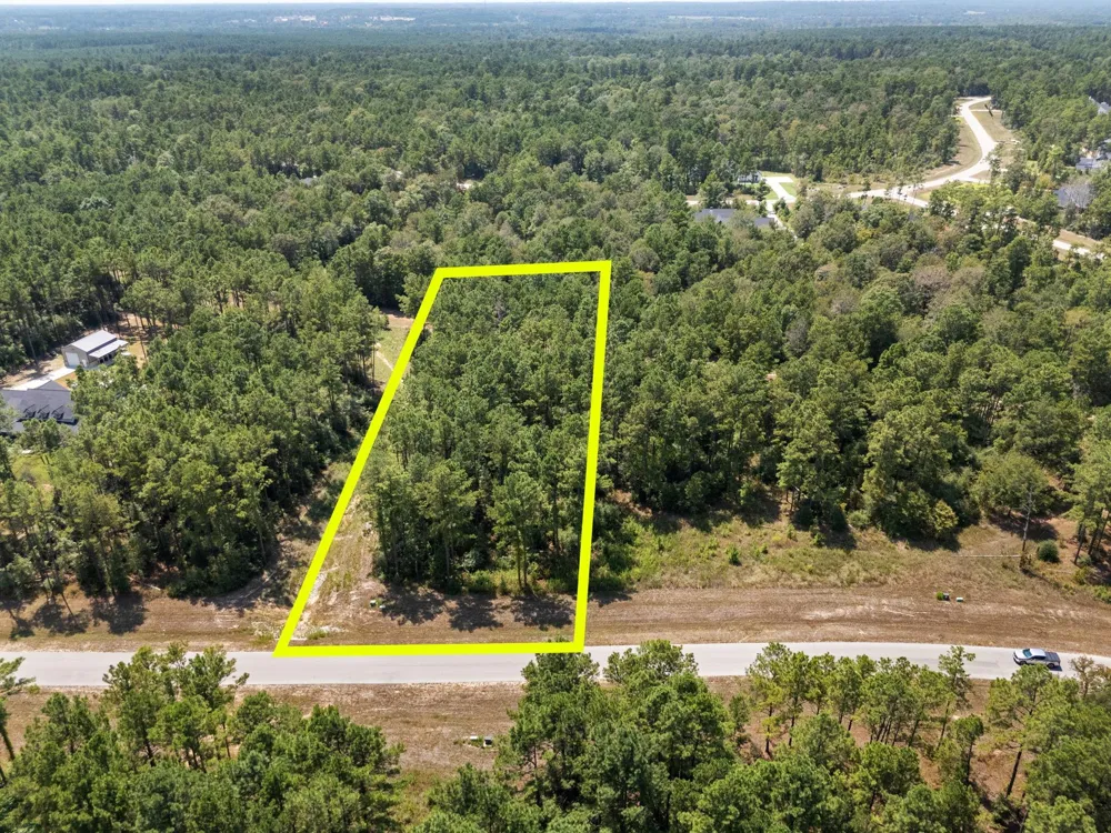 15735 Wooded Trail Way Willis, TX 77378