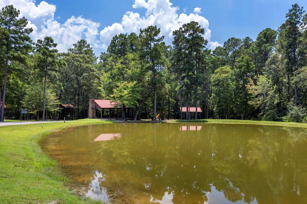 15735 Wooded Trail Way Willis, TX 77378