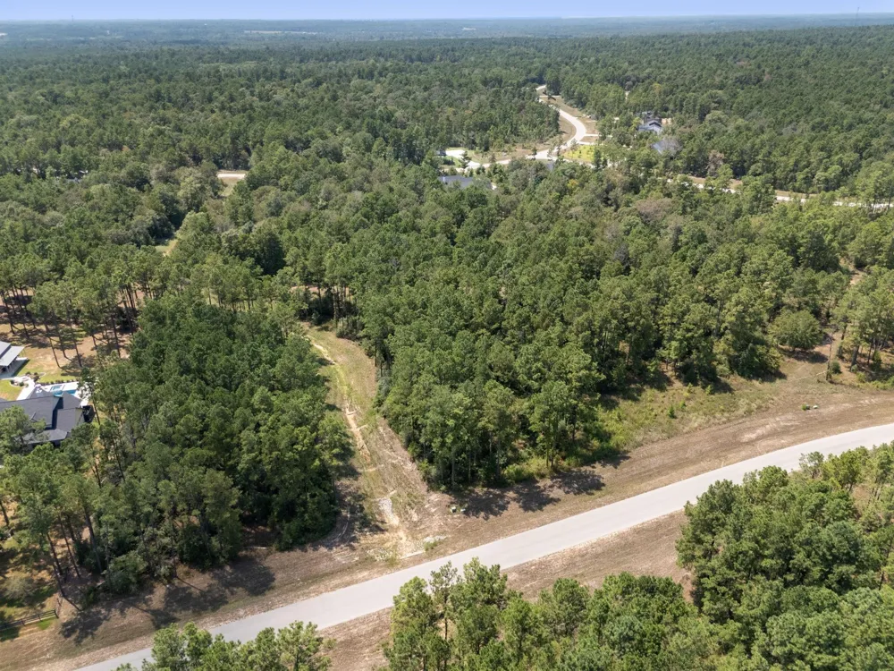 15735 Wooded Trail Way Willis, TX 77378