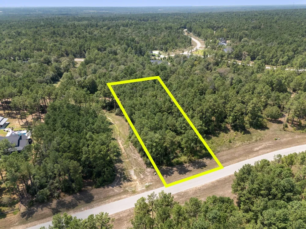 15735 Wooded Trail Way Willis, TX 77378