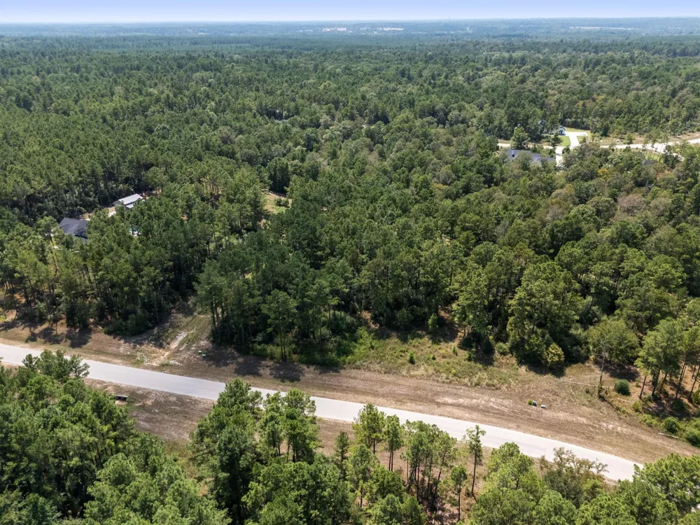 15735 Wooded Trail Way Willis, TX 77378