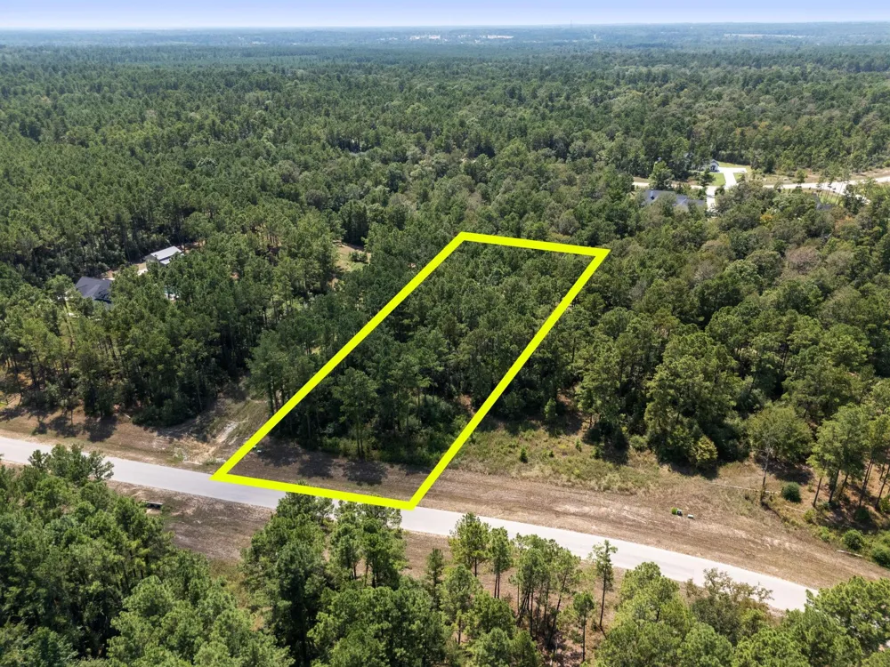 15735 Wooded Trail Way Willis, TX 77378
