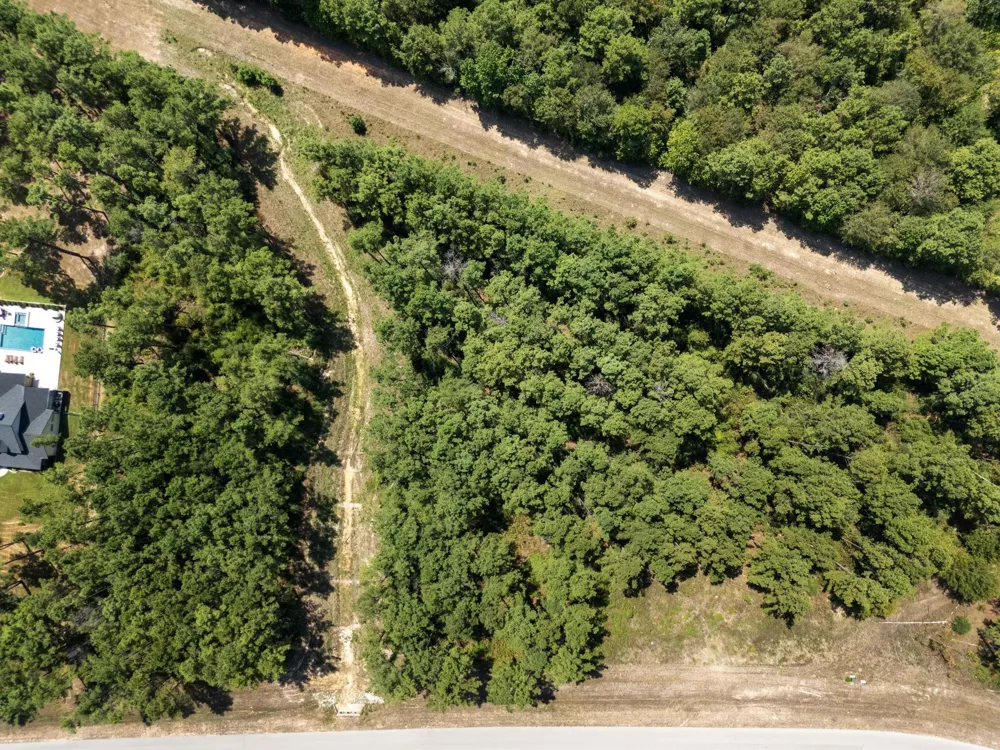 15735 Wooded Trail Way Willis, TX 77378
