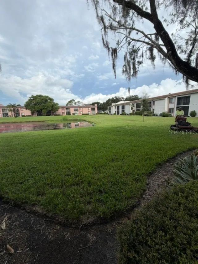 105 LAKEVIEW WAY #105 Oldsmar, FL 34677