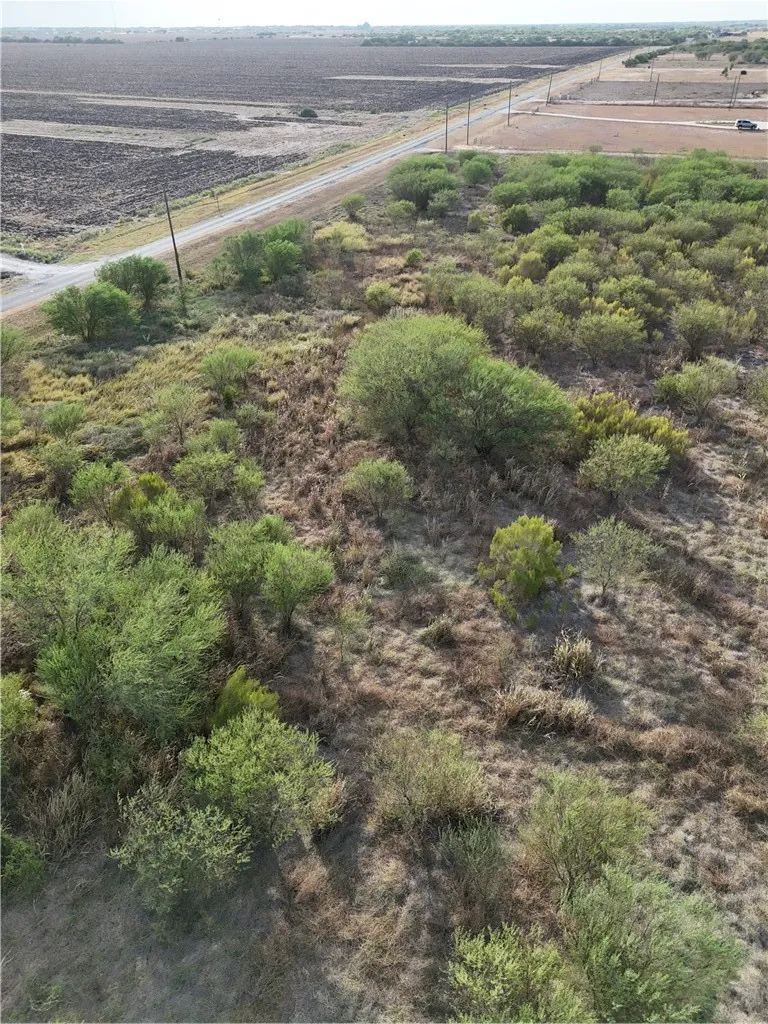 355 County Road 354 Orange Grove, TX 78372