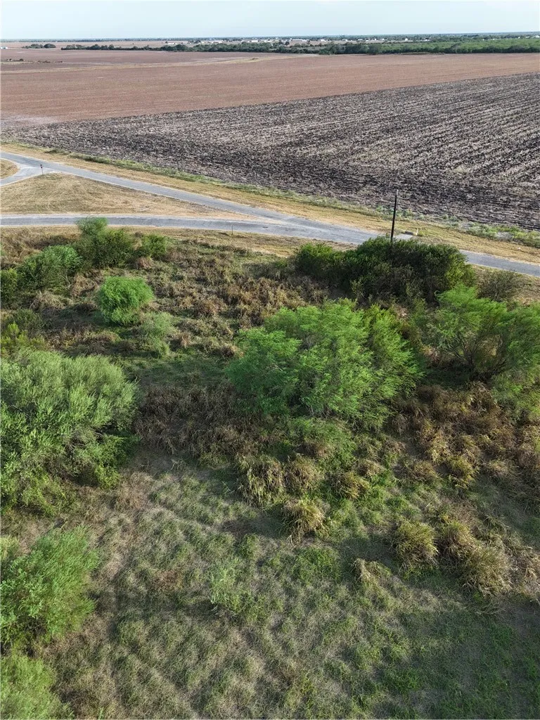 355 County Road 354 Orange Grove, TX 78372