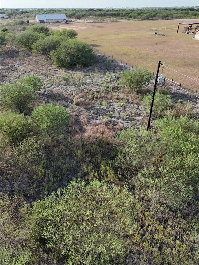 355 County Road 354 Orange Grove, TX 78372