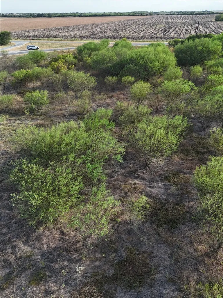 355 County Road 354 Orange Grove, TX 78372