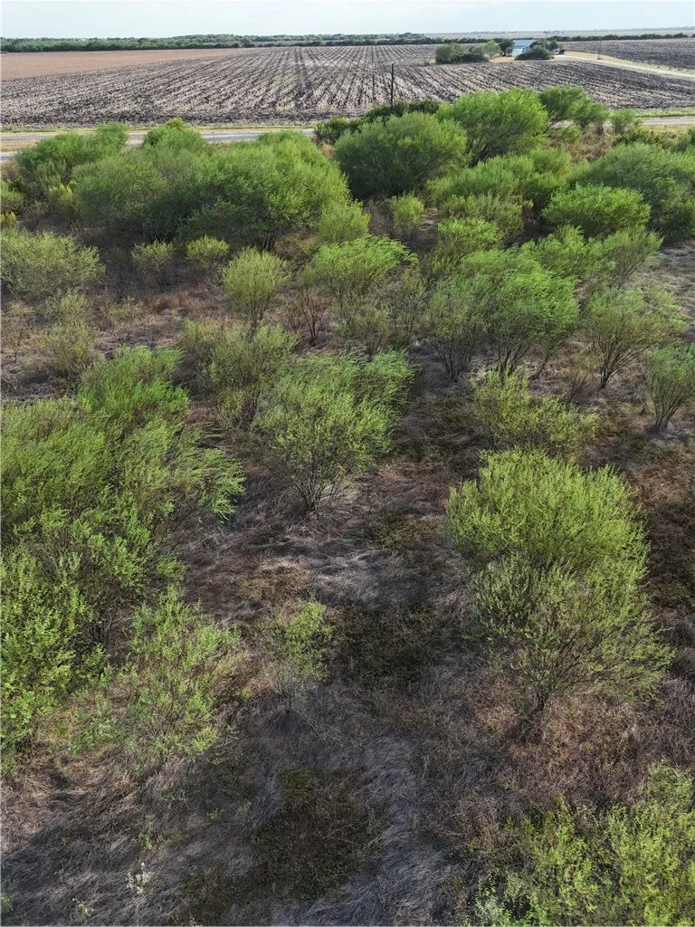 355 County Road 354 Orange Grove, TX 78372