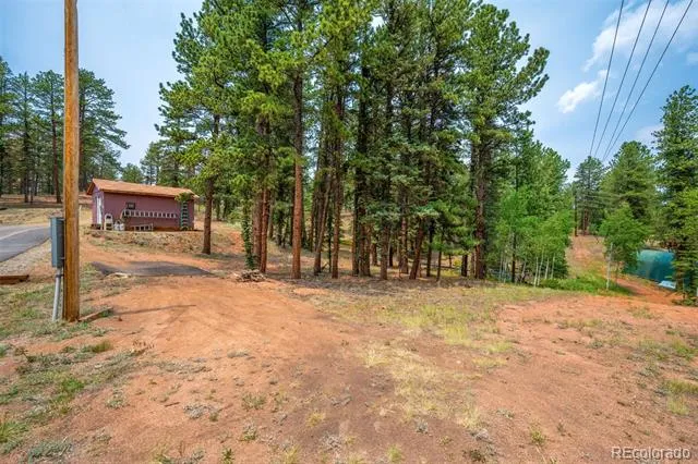 156 Fossil Creek Road Florissant, CO 80816