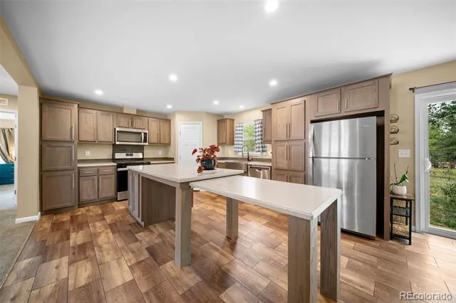 156 Fossil Creek Road Florissant, CO 80816