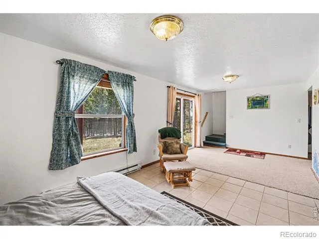 321 Shasta Way Red Feather Lakes, CO 80545