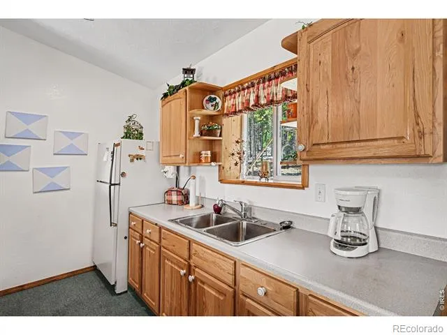 321 Shasta Way Red Feather Lakes, CO 80545