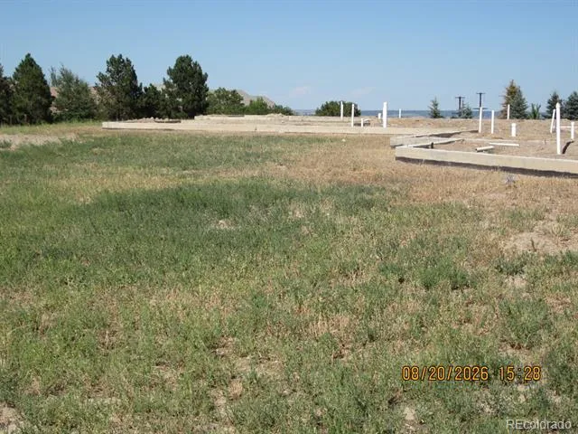 1507 White Fir Terrace Castle Rock, CO 80108