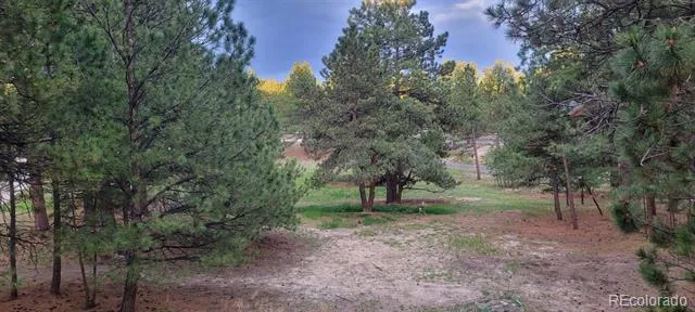 34525 Forest Park Drive Elizabeth, CO 80107