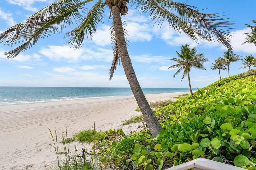 11958 Turtle Beach Road North Palm Beach, FL 33408