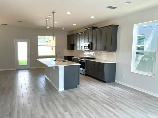 13742 WERRINGTON DRIVE Winter Garden, FL 34787