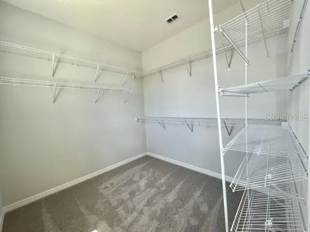 13742 WERRINGTON DRIVE Winter Garden, FL 34787