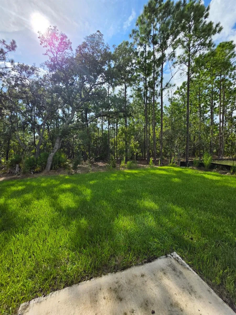 13054 SW 88TH COURT ocala, FL 34473