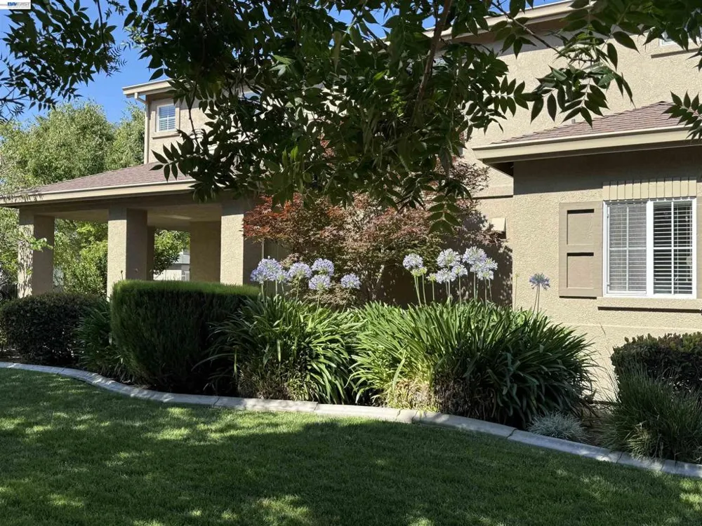 2301 Mountain Springs Dr Turlock, CA 95382