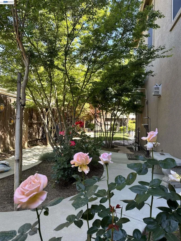 2301 Mountain Springs Dr Turlock, CA 95382
