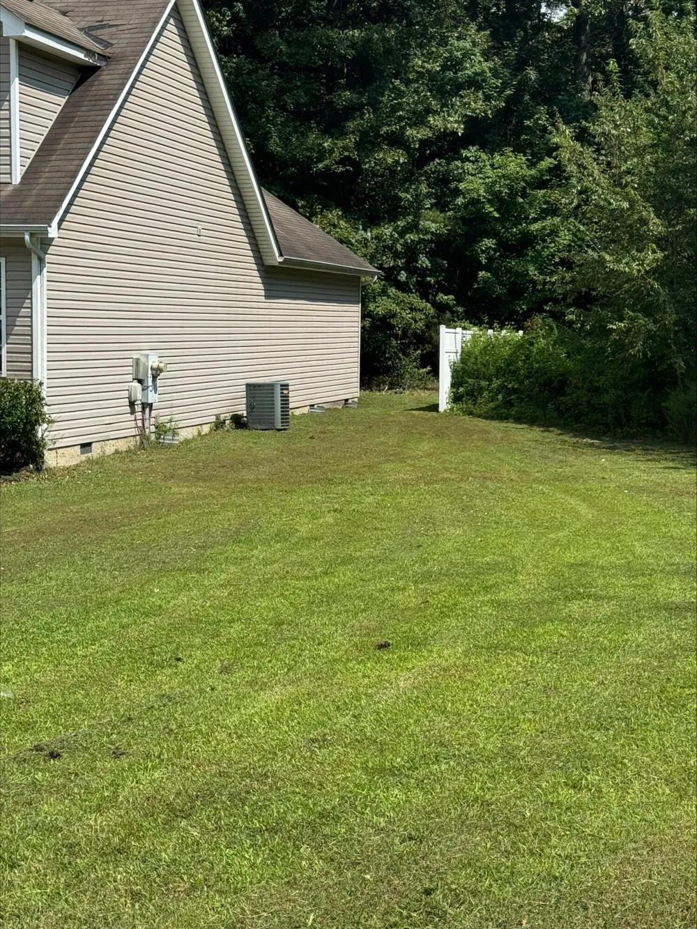 1699 Short Leaf Lane Soddy Daisy, TN 37379